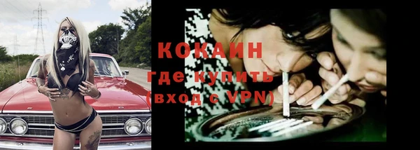гашик Горняк