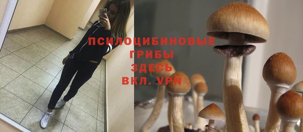не бодяженный Горно-Алтайск