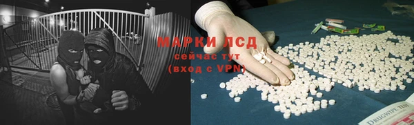 гашик Горняк