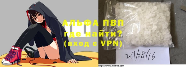 гашик Горняк
