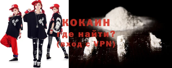 индика Лабытнанги