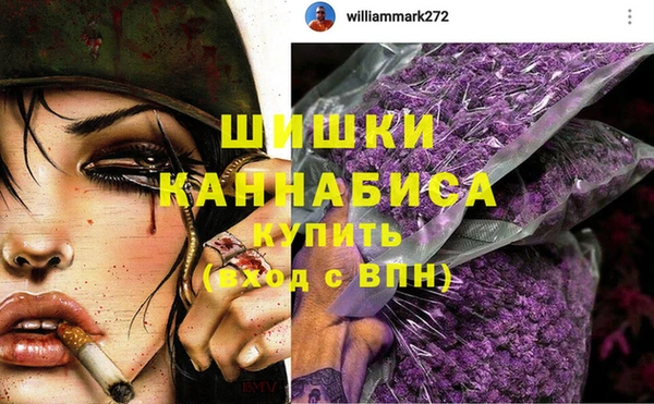 прущие грибы Горнозаводск