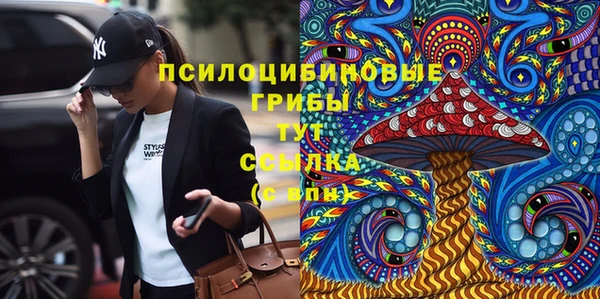 индика Лабытнанги