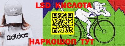 jwh Кингисепп