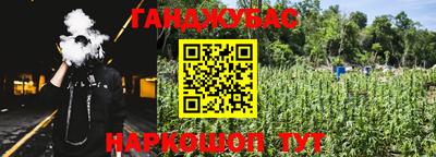jwh Кингисепп