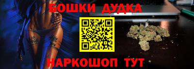 jwh Кингисепп