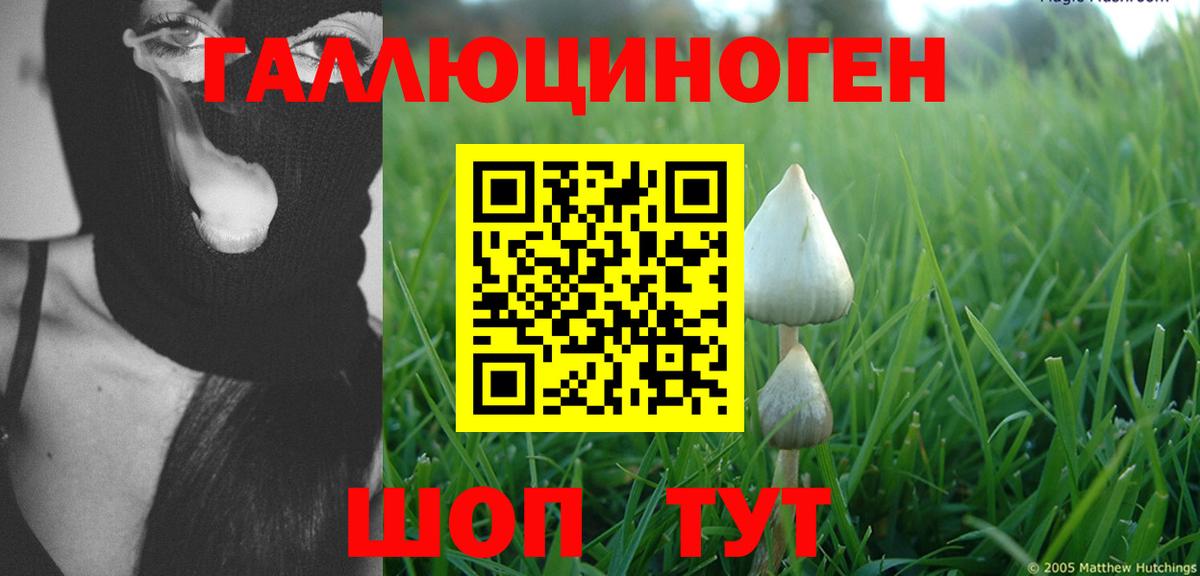 Псилоцибиновые грибы GOLDEN TEACHER  Вход с VPN  Шадринск 