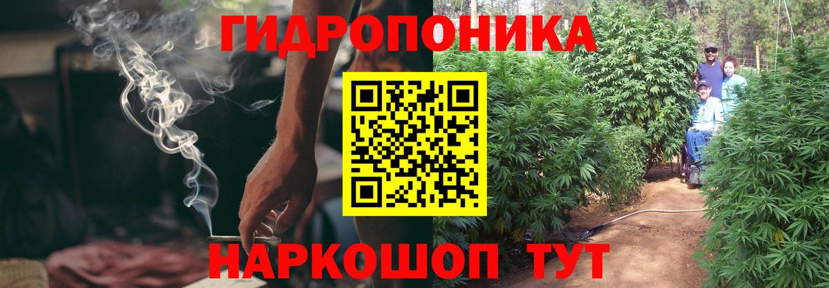 Бошки Шишки ГИДРОПОН Шадринск
